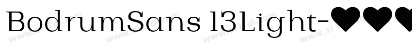 BodrumSans 13Light字体转换 BodrumSans 13Light字体转换